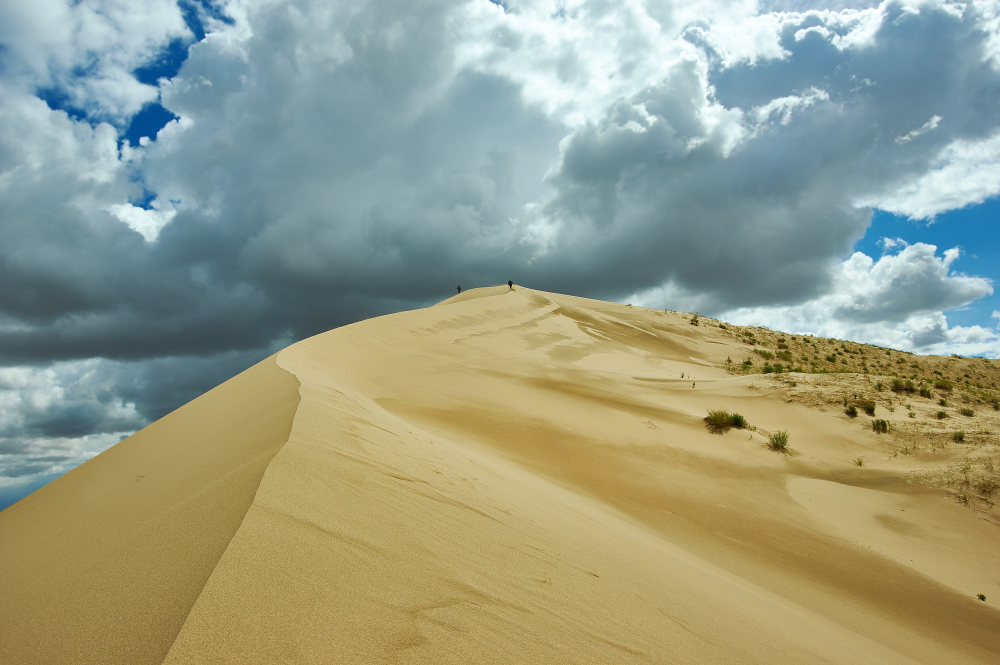 Gobi Gurvansaikhan National Park (Official GANP Park Page)